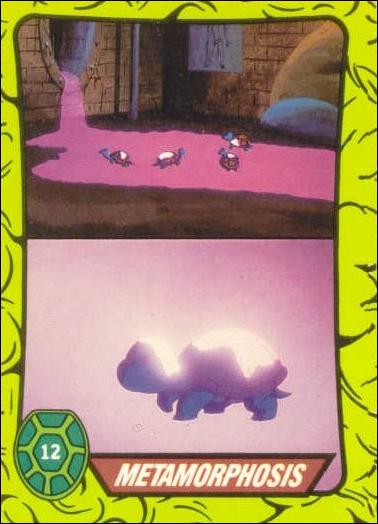 Teenage Mutant Hero Turtles (Ireland) (Base Set) card 12 Metamorphosis