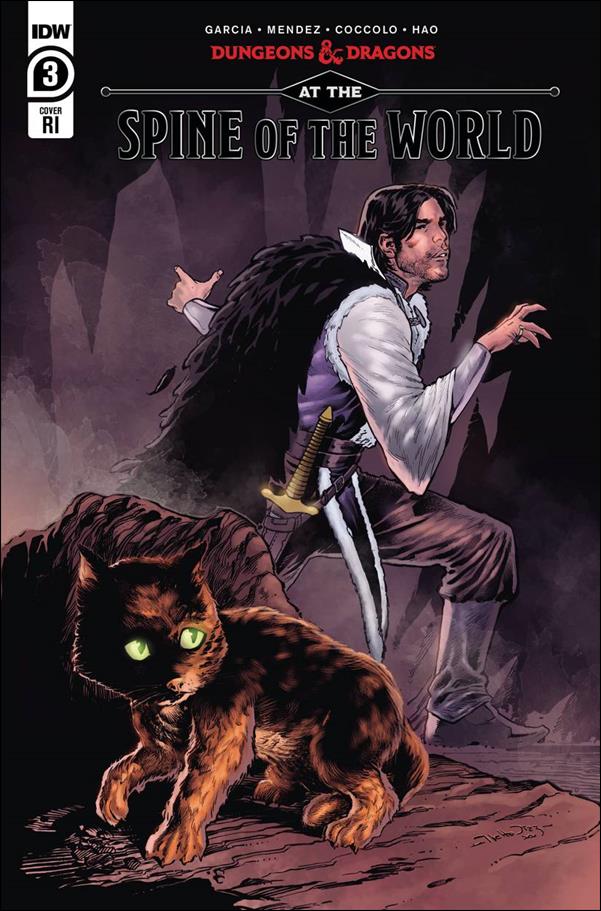 Dungeons & Dragons: At the Spine of the World issue 3-C Netho Diaz 1:10 Cover