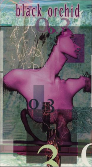 Vertigo Trading Cards (Base Set) card 34 Black Orchid #3