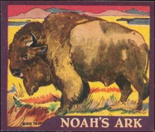 Noah's Ark (Base Set) card 8 Bison