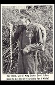 Gomer Pyle (Base Set) card 46 Hey There, Li'l Ol' King Snake. Don't it Feel Good
