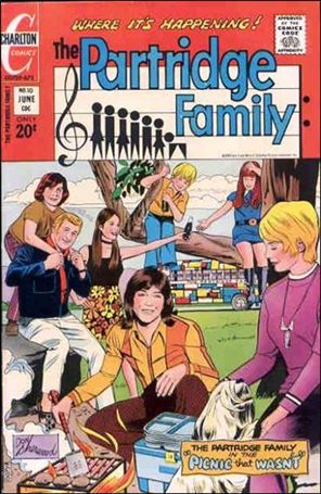 Partridge Family issue 10
