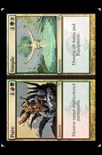 Magic the Gathering: Dissension (Base Set) card 154 Pure/Simple