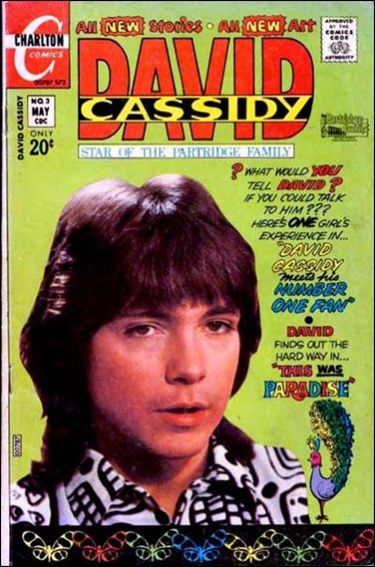 David Cassidy issue 3