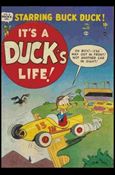 It's a Duck's Life Cover Image 2