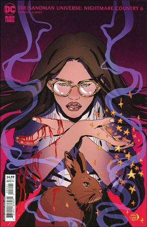 Sandman Universe: Nightmare Country issue 6-B Maria Llovet Cardstock Cover