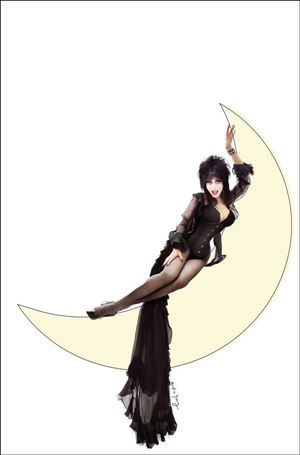 Elvira in Horrorland issue 3-K 1:7 Virgin Photo Cover