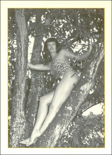 Bunny Yeager's Bettie Page (Base Set) card 38