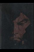 Top Cow Showcase: The Painted Cow (Base Set) card 62 The Darkness #1
