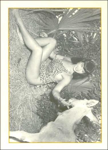 Bunny Yeager's Bettie Page (Base Set) card 33