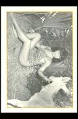 Bunny Yeager's Bettie Page (Base Set) card 33