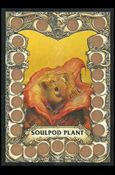 Battle Cards (Base Set) card 73 Soulpod Plant