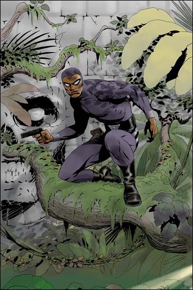 King: The Phantom issue 1-G Darwyn Cooke Rare Virgin Cover