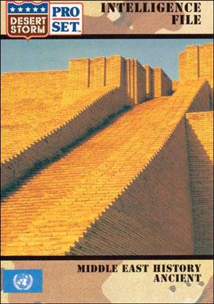 Desert Storm (Base Set) card 143