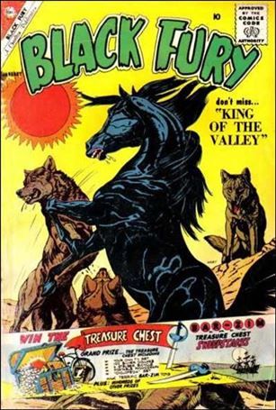 Black Fury issue 28