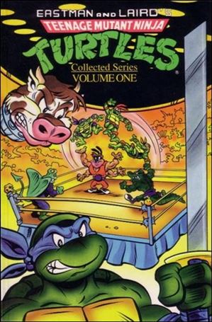 Teenage Mutant Ninja Turtles (1991) Cover Image 1