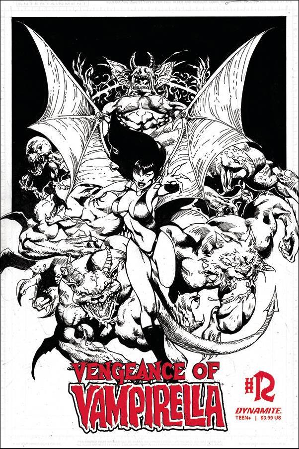 Vengeance of Vampirella (2019) issue 12-G Roberto Castro 1:11 Black & White Cover