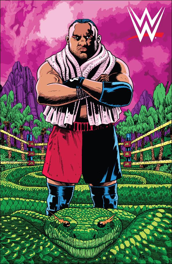 WWE issue 19-D Andy Belanger 1:15 Cover