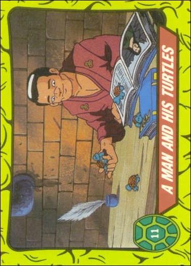 Teenage Mutant Hero Turtles (Ireland) (Base Set) card 11 A Man and His Turtles