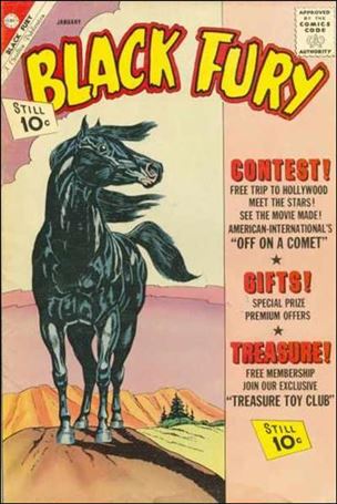 Black Fury issue 34