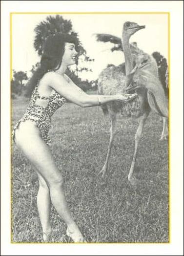 Bunny Yeager's Bettie Page (Base Set) card 26