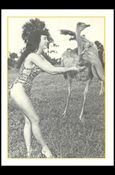 Bunny Yeager's Bettie Page (Base Set) card 26