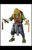 Ninja Turtles (11