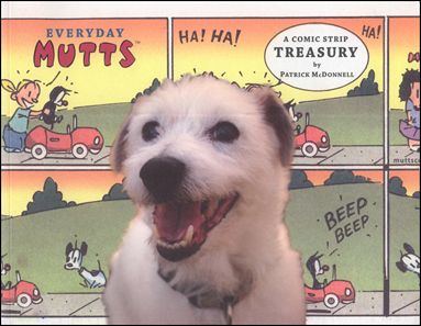 Mutts Treasury issue 1 Everyday Mutts - Photo Cover