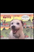 Mutts Treasury Cover Image 1