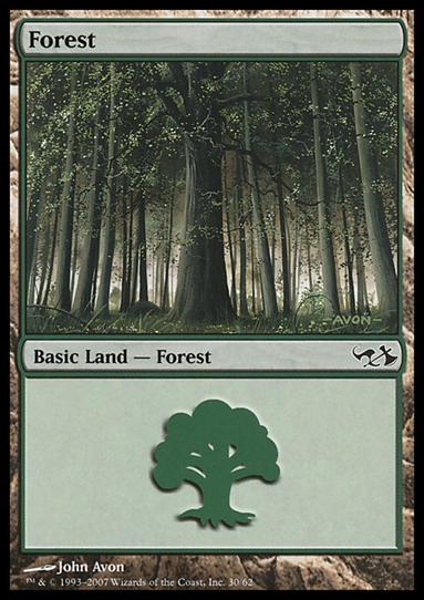 Magic the Gathering: Duel Decks: Elves vs. Goblins (Base Set) card 30 Forest