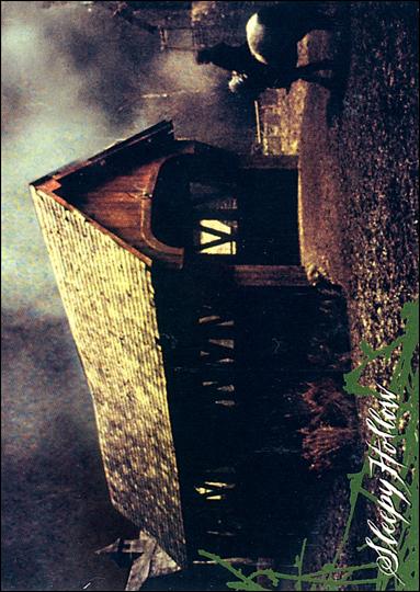 Sleepy Hollow (Movie) (Base Set) card 17 A Ride on the Wild Side