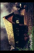 Sleepy Hollow (Movie) (Base Set) card 17 A Ride on the Wild Side