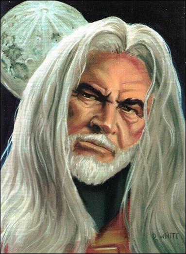 Top Cow Showcase: The Painted Cow (Base Set) card 36 Ansh'r