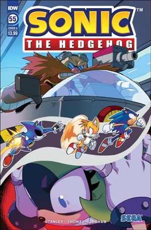 Sonic the Hedgehog (2018) issue 55 Aaron Hammerstrom Cover