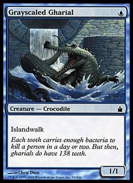 Magic the Gathering: Ravnica (Base Set)  card 52 Grayscaled Gharial