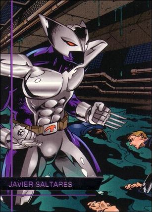 Images of ShadowHawk (Base Set) card 13 Javier Saltares