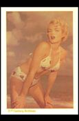 Bunny Yeager's Bettie Page (Girls of the Fifties Subset) Cover Image 1