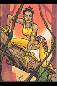 DC Comics: The New 52 (Base Set) card 58 Vixen