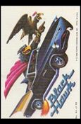 Weird Wheels (Base Set) card 44 Black Hawk