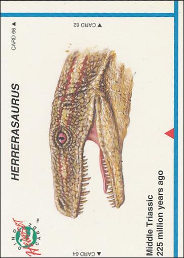 DinoCardz (Base Set) card 63 Herrerasaurus