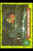 Teenage Mutant Hero Turtles (Ireland) (Base Set) card 54 Courage of the Master