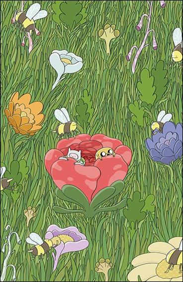 Adventure Time (2012) issue 27-C Tom Hunter 1:15 Virgin Cover