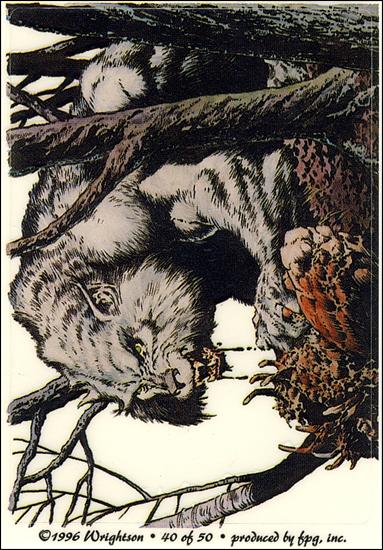 Bernie Wrightson Stickers (Base Set) card 40