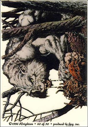 Bernie Wrightson Stickers (Base Set) card 40