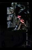 X-Files: Season 8 (The Search for Mulder Subset) card B4
