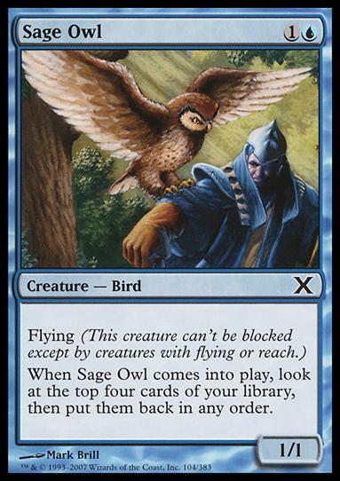 Magic the Gathering: 10th Edition (Base Set) card 104 Sage Owl