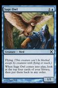 Magic the Gathering: 10th Edition (Base Set) card 104 Sage Owl