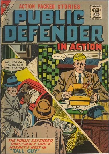 Public Defender in Action issue 11