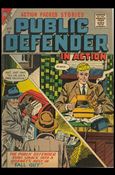 Public Defender in Action issue 11