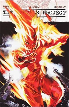 Marvels Project issue 2-B Steve McNiven Cover
